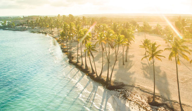 Dominican beach with palm trees
