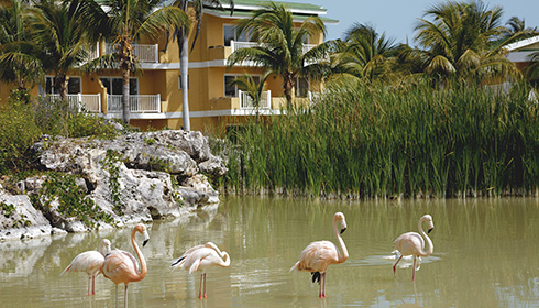 Tryp Cayo Coco | WestJet official site