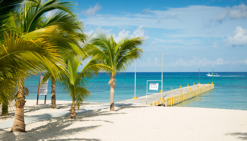 cozumel westjet