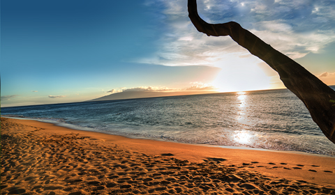 westin nanea beach