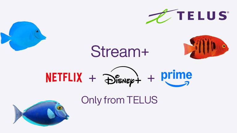 Stream+ only from TELUS, including Netflix, Disney+ and Amazon Prime.