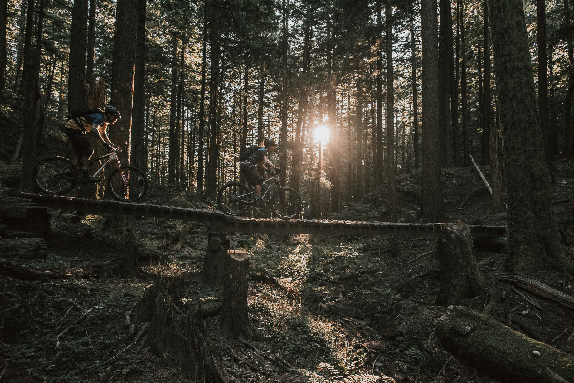 Two people mountain biking on Sumas Mountain