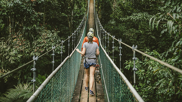 Bocawina Adventures - suspension bridge