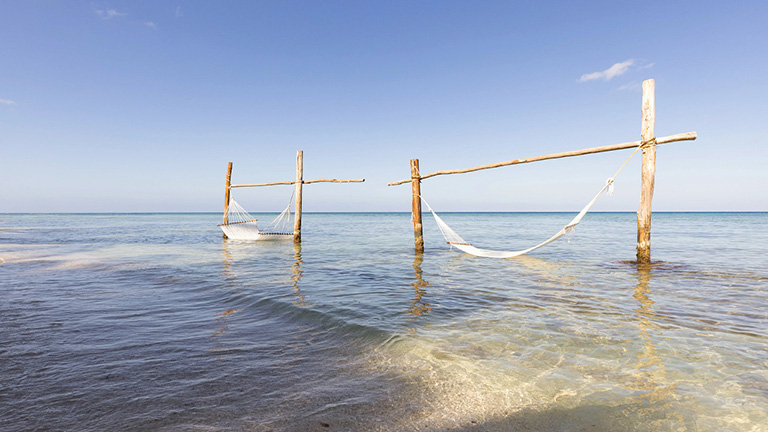 Sea Hammocks