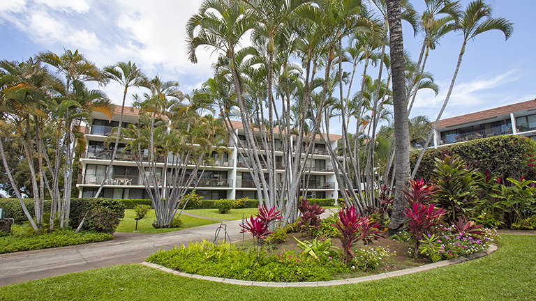 Maui Parkshore