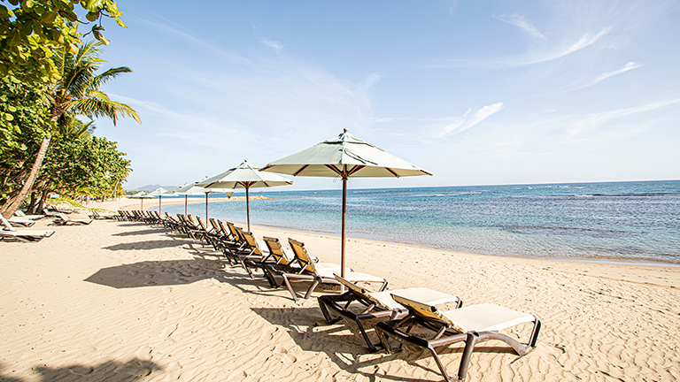 Beach Chairs