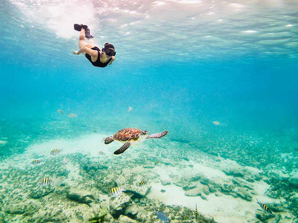 friends snorkeling on a summer day