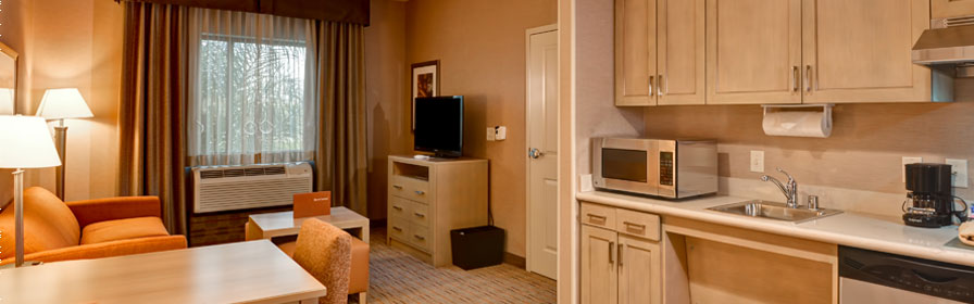 1 Bedroom Suite at Homewood Suites by Hilton Anaheim Resort/Convention Center